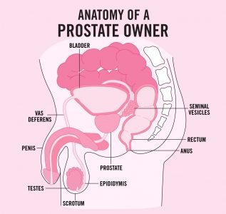 Anal Sex: Safety, How tos, Tips, and More