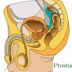 prostate stimulation for men
