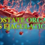 internal orgasm for men