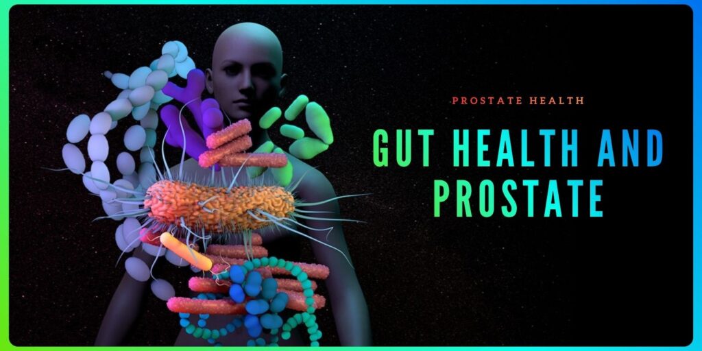 Gut Health and Prostate: A Complete Wellness Guide