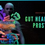 gut bacteria and hormones