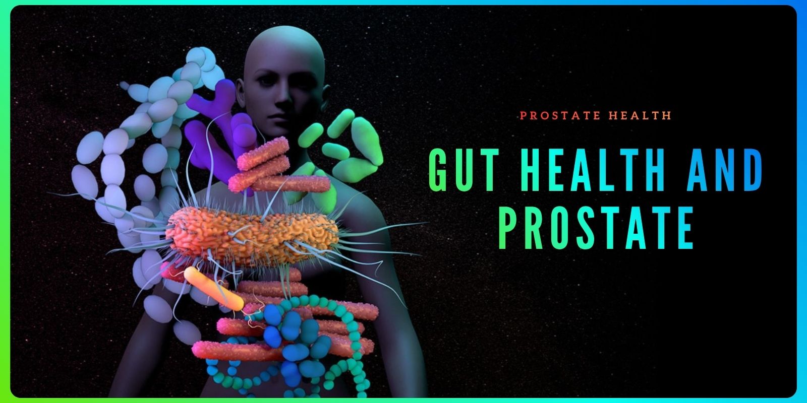 gut bacteria and hormones