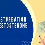 male hormone health